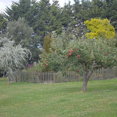 The Willow Studio - Peaceful Retreat Near Whitstable Seaside ฟาเวอร์แชม ภายนอก รูปภาพ