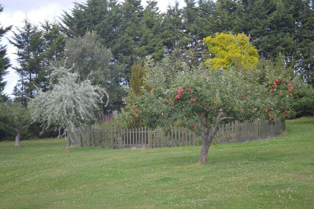 The Willow Studio - Peaceful Retreat Near Whitstable Seaside ฟาเวอร์แชม ภายนอก รูปภาพ