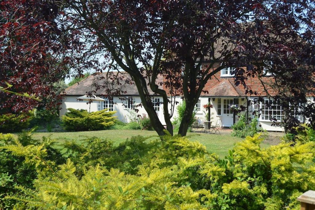The Willow Studio - Peaceful Retreat Near Whitstable Seaside ฟาเวอร์แชม ภายนอก รูปภาพ